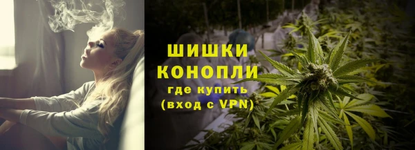 ешки Белокуриха