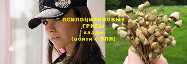 ешки Белокуриха