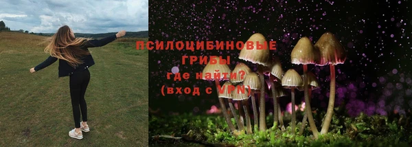 гашик Беломорск